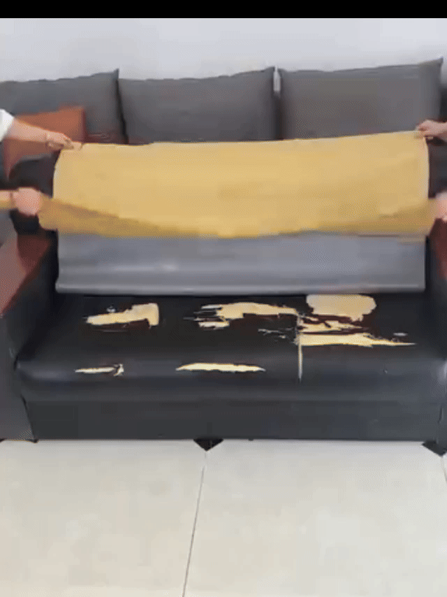 Cuero dañado que necesita reparación