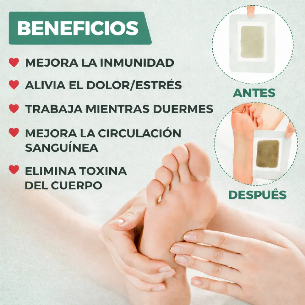 Cajas Parches Kinoki desintoxicantes