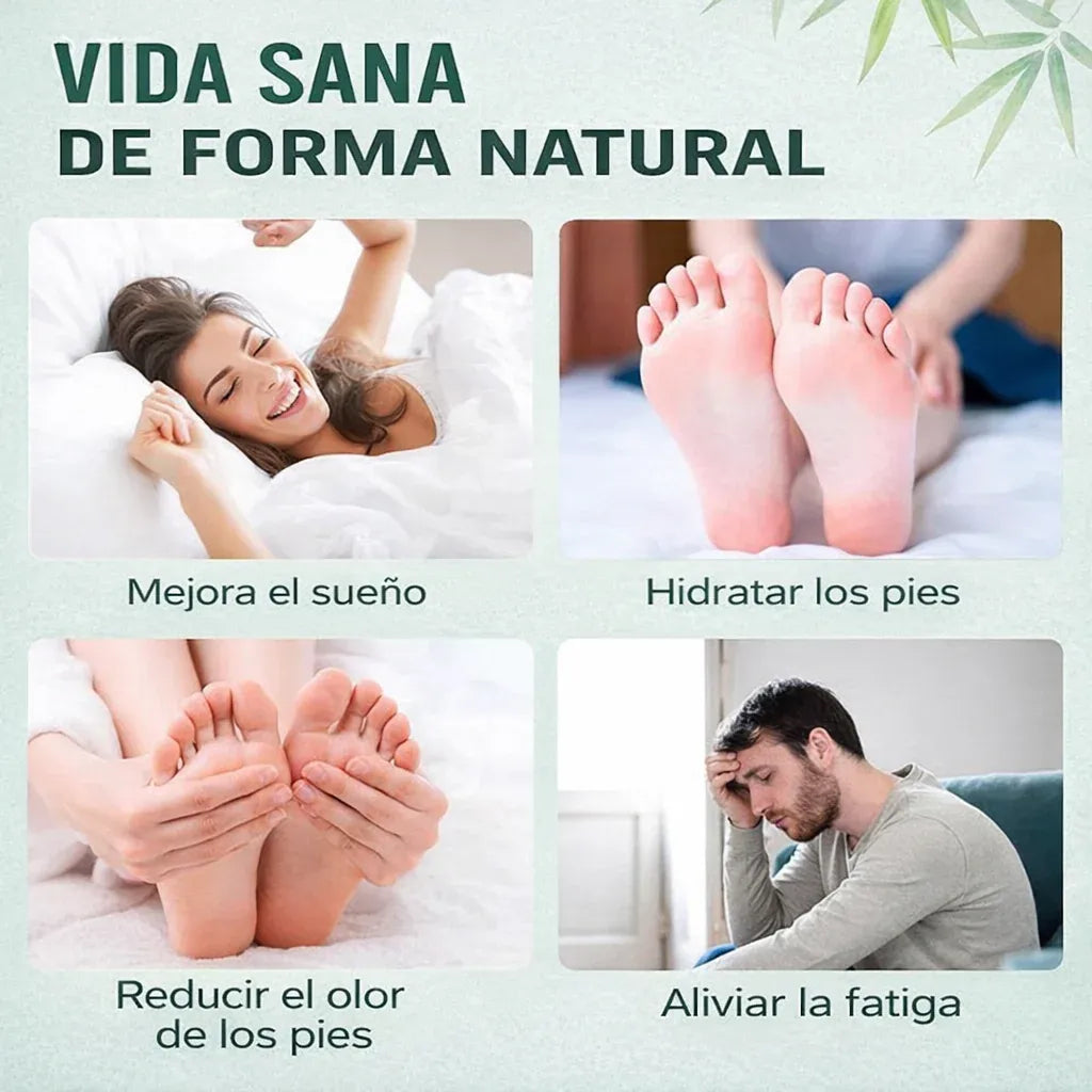 Cajas Parches Kinoki desintoxicantes