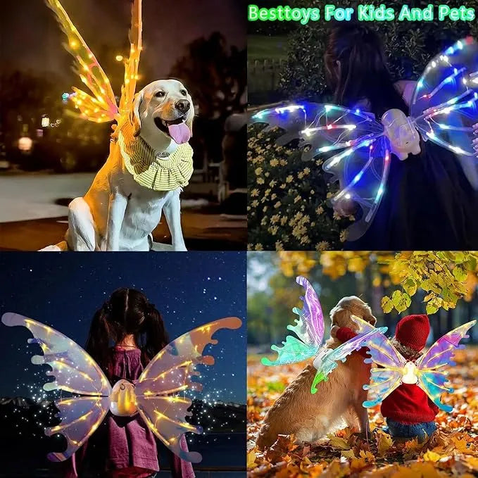 Alas de Hada mágica